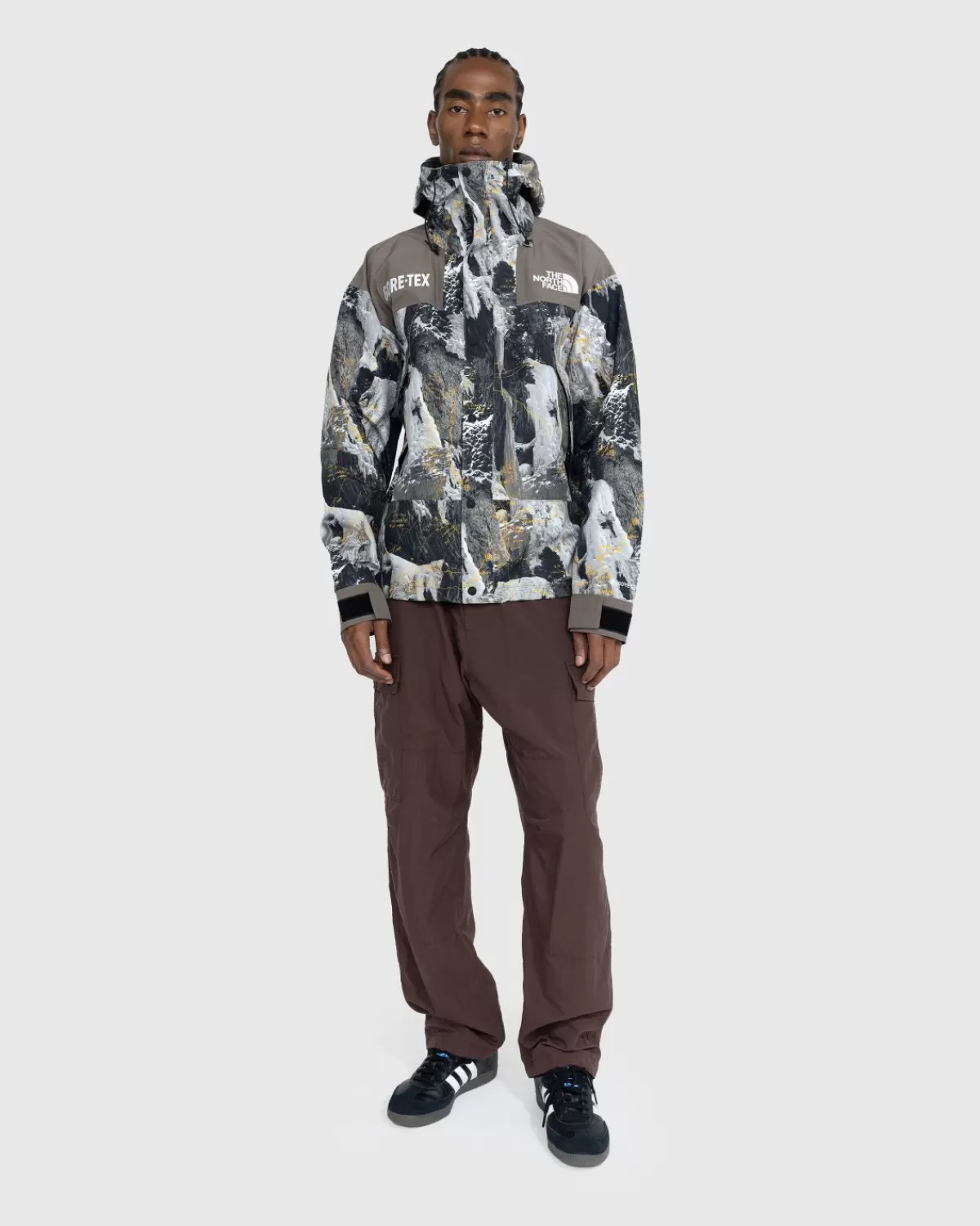 Bovenkleding^The North Face Gore-Tex Bergjas Falcon Brown Conrads Notes Print