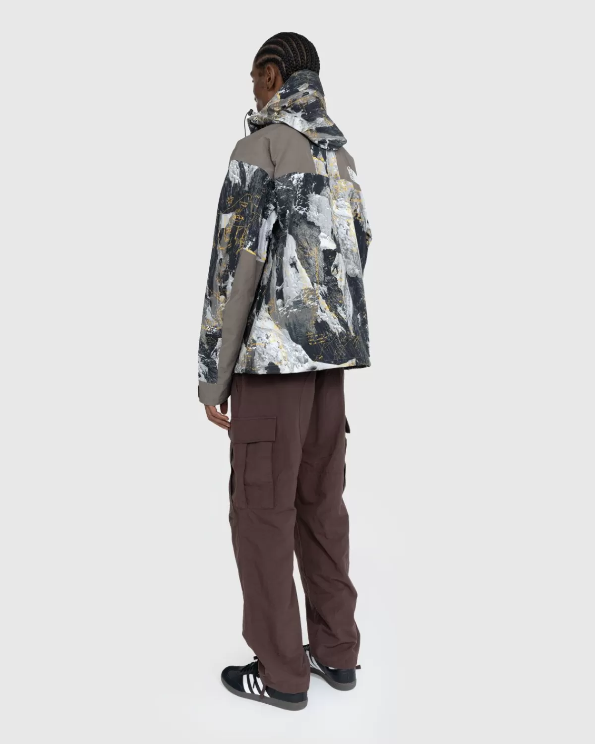 Bovenkleding^The North Face Gore-Tex Bergjas Falcon Brown Conrads Notes Print