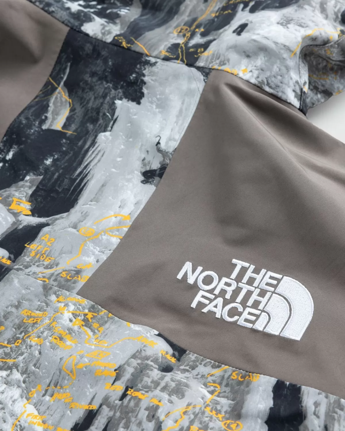 Bovenkleding^The North Face Gore-Tex Bergjas Falcon Brown Conrads Notes Print