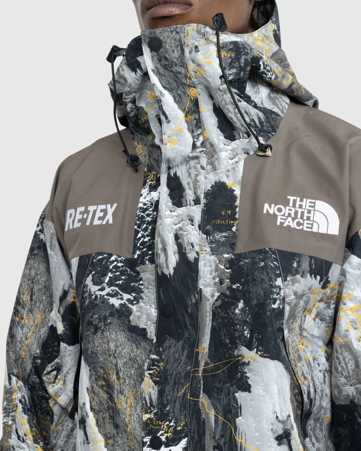 Bovenkleding^The North Face Gore-Tex Bergjas Falcon Brown Conrads Notes Print