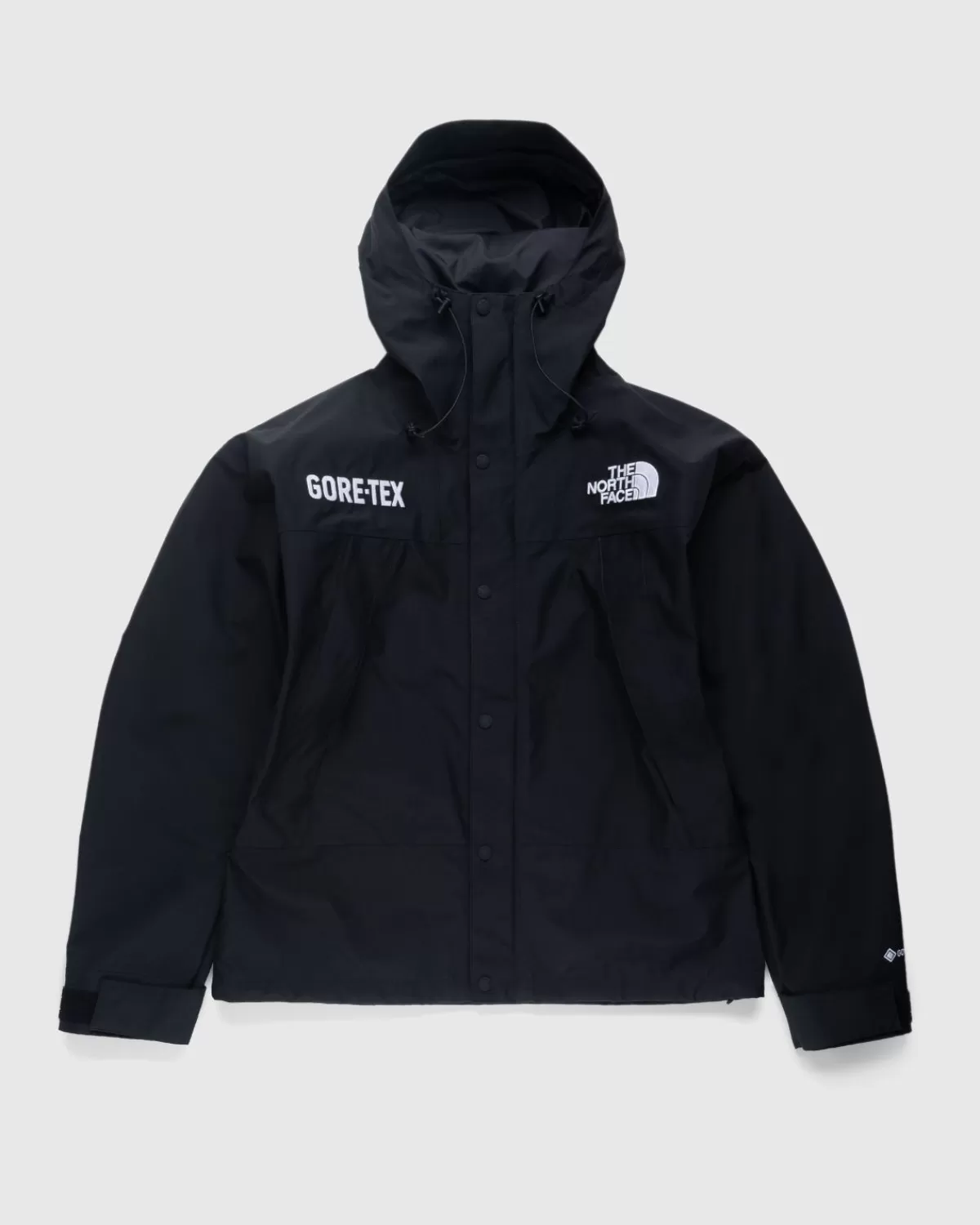 Bovenkleding^The North Face Gore-Tex Bergjas Tnf Zwart