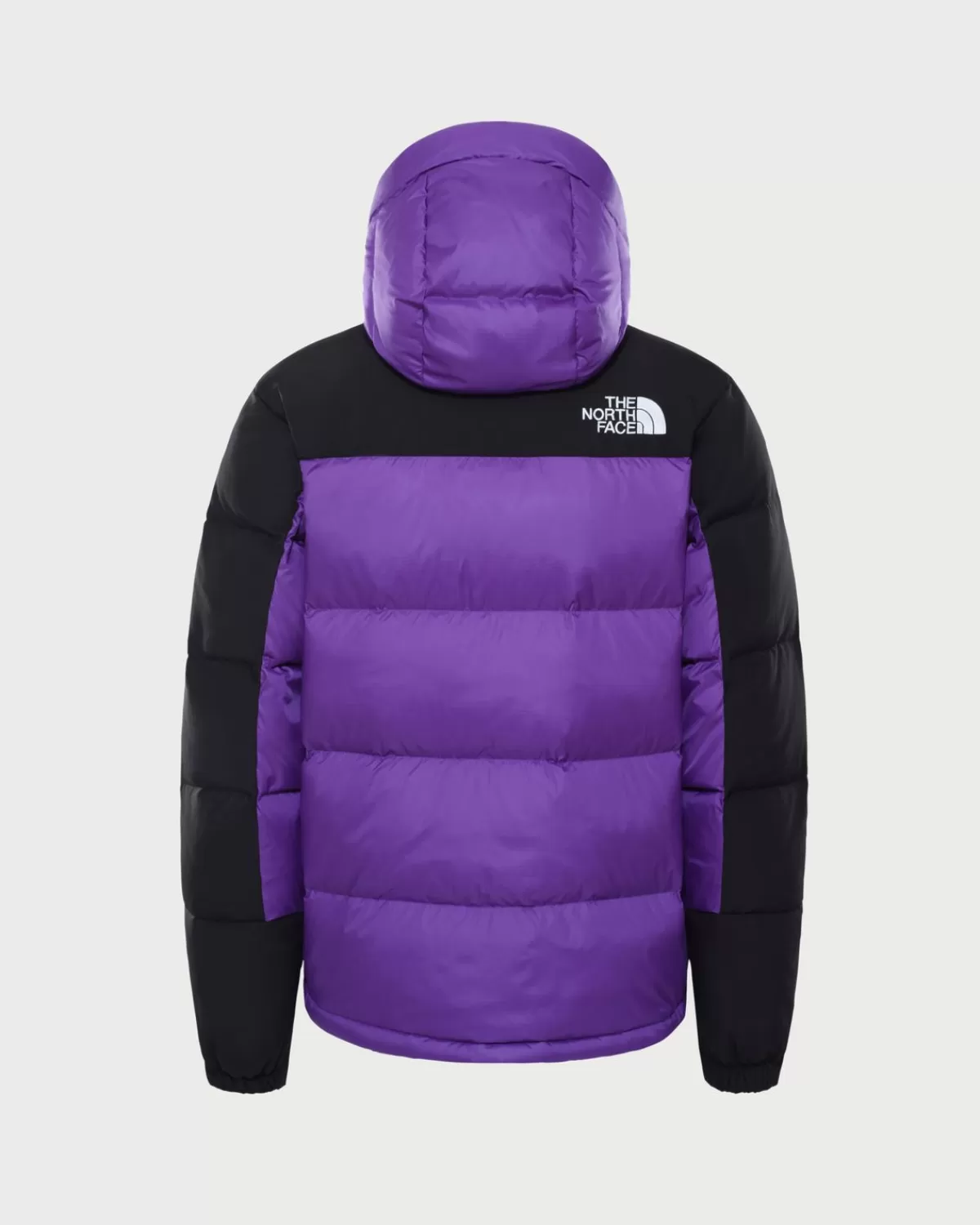 Bovenkleding^The North Face Himalayan Donsjack Peak Paars Unisex